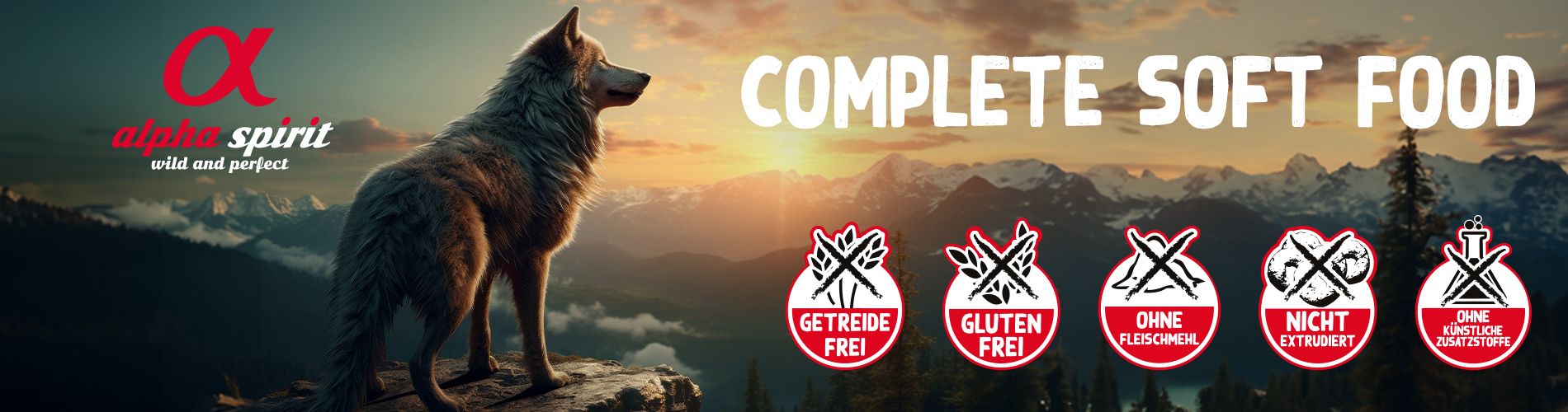 Alpha Spirit Banner allgemein Alpha Spirit Banner allgemein