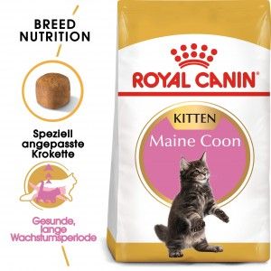 Royal Canin Feline Maine Coon Kitten 4kg