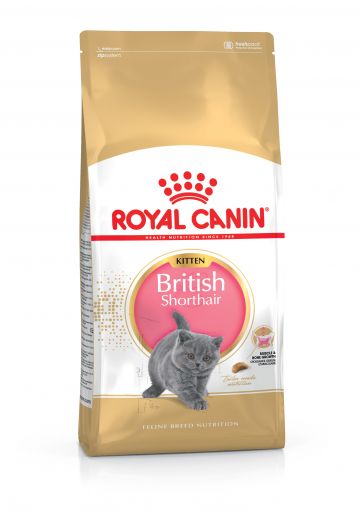 Royal Canin Feline British Shorthair Kitten 400g