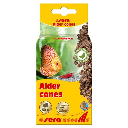 sera Erlenzapfen (50 St.)
