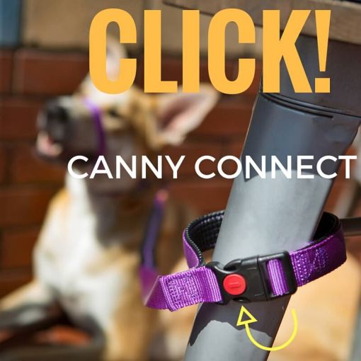 Canny Hundeleine CONNECT 15mm - lila