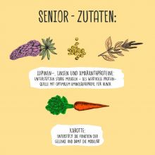 VEGDOG Senior Erbsen & Hirse 400g (Menge: 6 je Bestelleinheit)