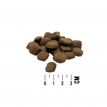 MACs Dog Mono Frisches Pferd 12kg