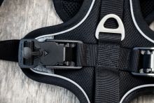 Curli Magnetic Belka Comfort Geschirr Schwarz S