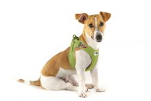 Curli Clasp Vest Geschirr Air-Mesh Lime XS