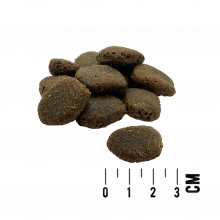 MACs Dog Mono Large Breed 2 x 12kg Sparpaket