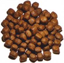 Vollmers Holistic 5 kg