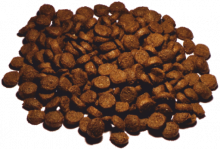 Vollmers Holistic Mini 1 kg