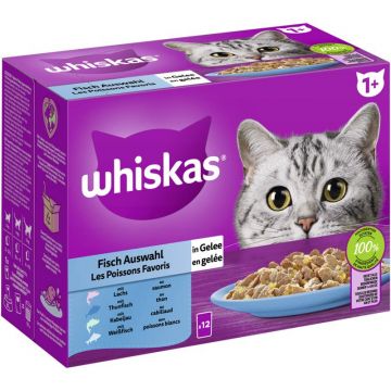 Whiskas Portionsbeutel Multipack 1+ Fisch Auswahl in Gelee 12 x 85g (Menge: 4 je Bestelleinheit)
