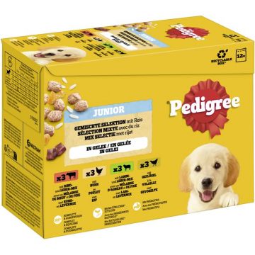 Pedigree Multipack PB Gemischte Selektion Junior in Gelee 4 Varietäten 12x100g (Menge: 4 je Bestelleinheit) Pedigree Multipack PB Gemischte Selektion Junior in Gelee 4 Varietäten 12x100g (Menge: 4 je Bestelleinheit)
