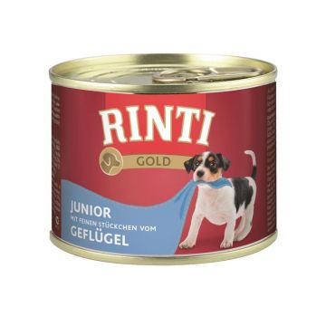 Rinti Dose Gold Junior mit Geflügel 185 g (Menge: 12 je Bestelleinheit) Rinti Dose Gold Junior mit Geflügel 185 g (Menge: 12 je Bestelleinheit)