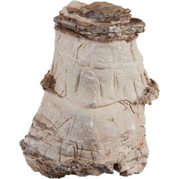 sera Rock Asian Pagoda XXL ca. 6 kg sera Rock Asian Pagoda XXL ca. 6 kg