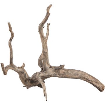 sera Scaper Root XS 18 - 20 cm sera Scaper Root XS 18 - 20 cm