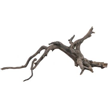 sera Scaper Root S 25 - 30 cm sera Scaper Root S 25 - 30 cm