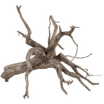 sera Scaper Root M 30 - 35 cm sera Scaper Root M 30 - 35 cm