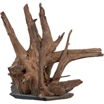 sera Scaper Wood M 18 - 20 cm sera Scaper Wood M 18 - 20 cm