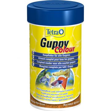 Tetra Guppy Color 100 ml Tetra Guppy Color 100 ml