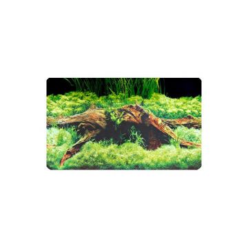 Dohse HOBBY Fotorückwand Spring / Moss 30 cm per Meter Dohse HOBBY Fotorückwand Spring / Moss 30 cm per Meter