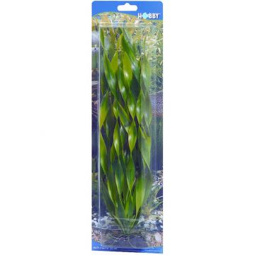 Dohse HOBBY Vallisneria 34 cm SB Dohse HOBBY Vallisneria 34 cm SB
