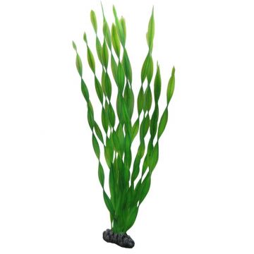 Dohse HOBBY Vallisneria 46 cm SB Dohse HOBBY Vallisneria 46 cm SB