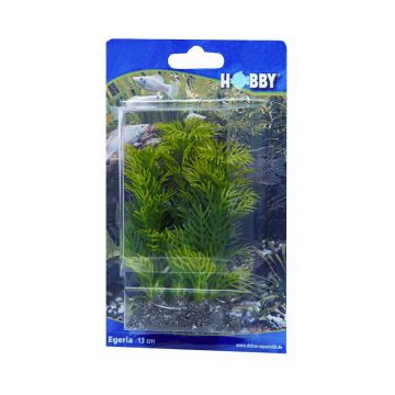 Dohse HOBBY Egeria 13 cm Dohse HOBBY Egeria 13 cm