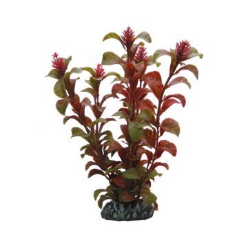 Dohse HOBBY Rotala 16 cm SB Dohse HOBBY Rotala 16 cm SB