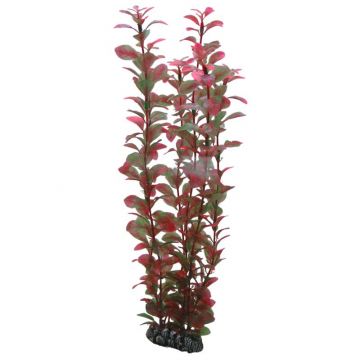 Dohse HOBBY Ludwigia 34 cm SB Dohse HOBBY Ludwigia 34 cm SB