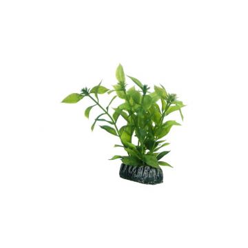 Dohse HOBBY Hygrophila 13 cm Dohse HOBBY Hygrophila 13 cm