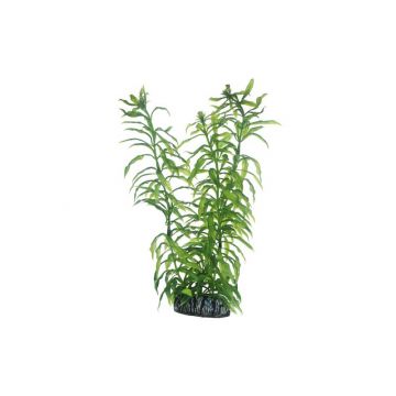 Dohse HOBBY Heteranthera 25 cm Dohse HOBBY Heteranthera 25 cm
