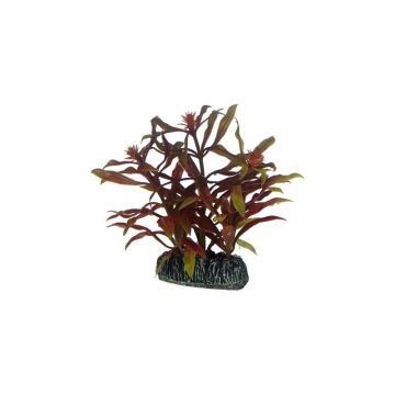Dohse HOBBY Nesaea 7 cm Dohse HOBBY Nesaea 7 cm