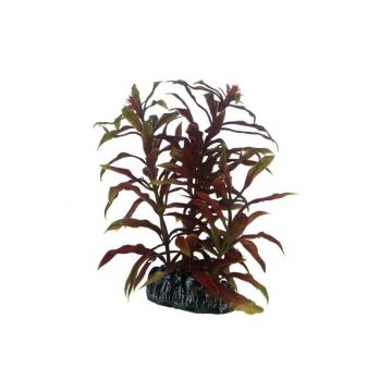 Dohse HOBBY Nesaea 13 cm Dohse HOBBY Nesaea 13 cm