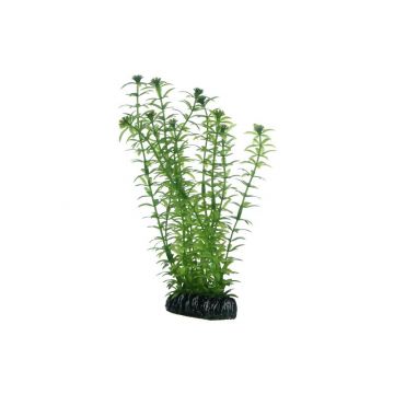 Dohse HOBBY Lagarosiphon 20 cm Dohse HOBBY Lagarosiphon 20 cm