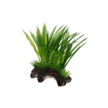 Dohse HOBBY Flora Root 1 Small 17 cm Dohse HOBBY Flora Root 1 Small 17 cm