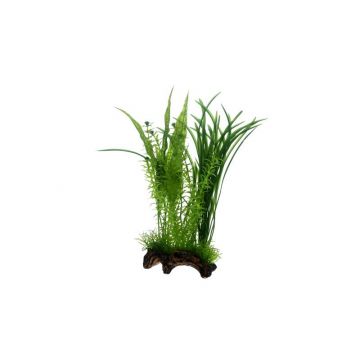 Dohse HOBBY Flora Root 1 Large 30 cm Dohse HOBBY Flora Root 1 Large 30 cm