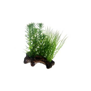 Dohse HOBBY Flora Root 2 Small 17 cm Dohse HOBBY Flora Root 2 Small 17 cm