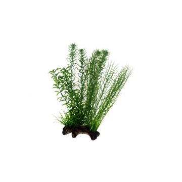 Dohse HOBBY Flora Root 2 Large 30 cm Dohse HOBBY Flora Root 2 Large 30 cm
