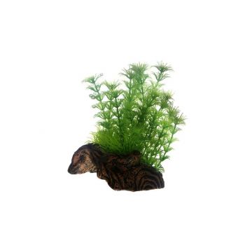 Dohse HOBBY Flora Root 3 Small 17 cm Dohse HOBBY Flora Root 3 Small 17 cm