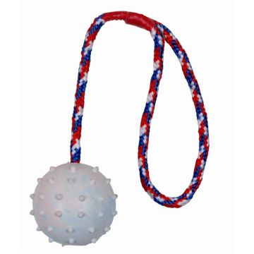 Trixie Ball am Seil, Naturgummi 6 cm 30 cm Trixie Ball am Seil, Naturgummi 6 cm 30 cm