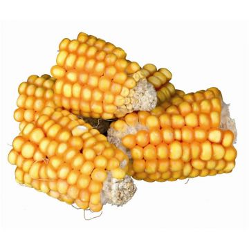 Trixie Maiskolbenstücke, 300 g Trixie Maiskolbenstücke, 300 g