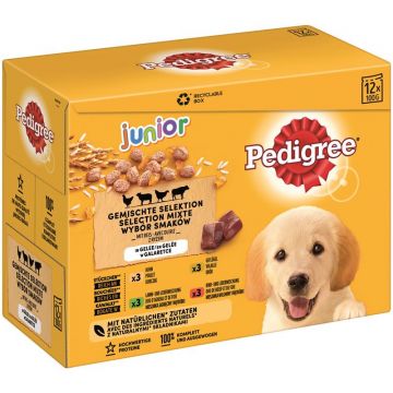 Pedigree PB Junior in Gelee im Multipack 12x100g (Menge: 4 je Bestelleinheit) Pedigree PB Junior in Gelee im Multipack 12x100g (Menge: 4 je Bestelleinheit)