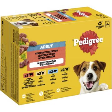 Pedigree Multipack PB Gemischte Selektion in Gelee 4 Varietäten 12x100g (Menge: 4 je Bestelleinheit) Pedigree Multipack PB Gemischte Selektion in Gelee 4 Varietäten 12x100g (Menge: 4 je Bestelleinheit)