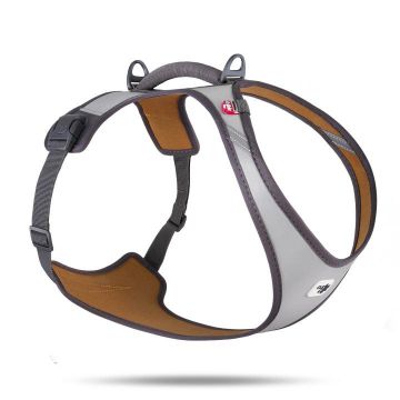 Curli Belka Geschirr Glow Gray 2XL