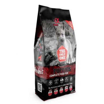 alpha spirit Dog The Only One Puppies 12kg alpha spirit Dog The Only One Puppies 12kg