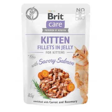 Brit Care Cat Fillets in Jelly with Savory Salmon Kitten 85g (Menge: 24 je Bestelleinheit)