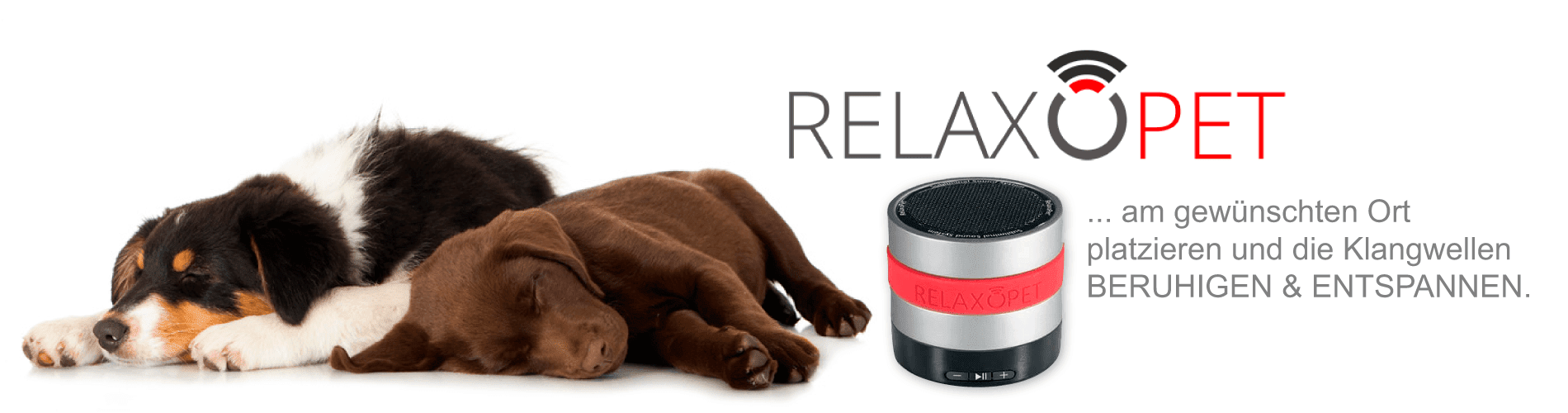 Relaxodog